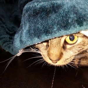 Meet your Posher, Karen